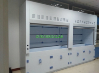 China Hot Sale PP Fume Cabinet Low Cost  Lab Fume Cupboard 6 Feet CE Approved Polypropylene Laboratory Fume Hood supplier