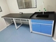 Factory Direct Selling Side Lab Table 7200mm Long All Steel Laboratory Wall Bench supplier